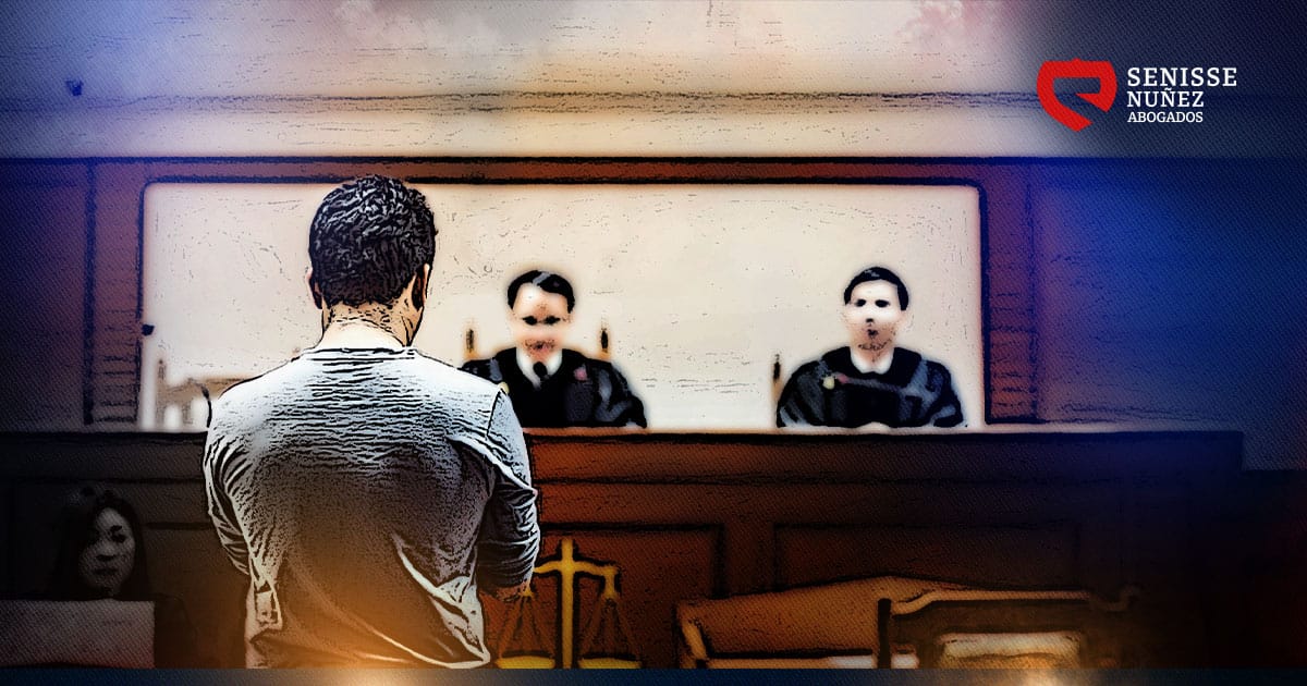 el-actor-civil-en-el-proceso-penal-senisse-nuñez-abogados