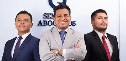 SNA-Cobranzas-Movil-2025