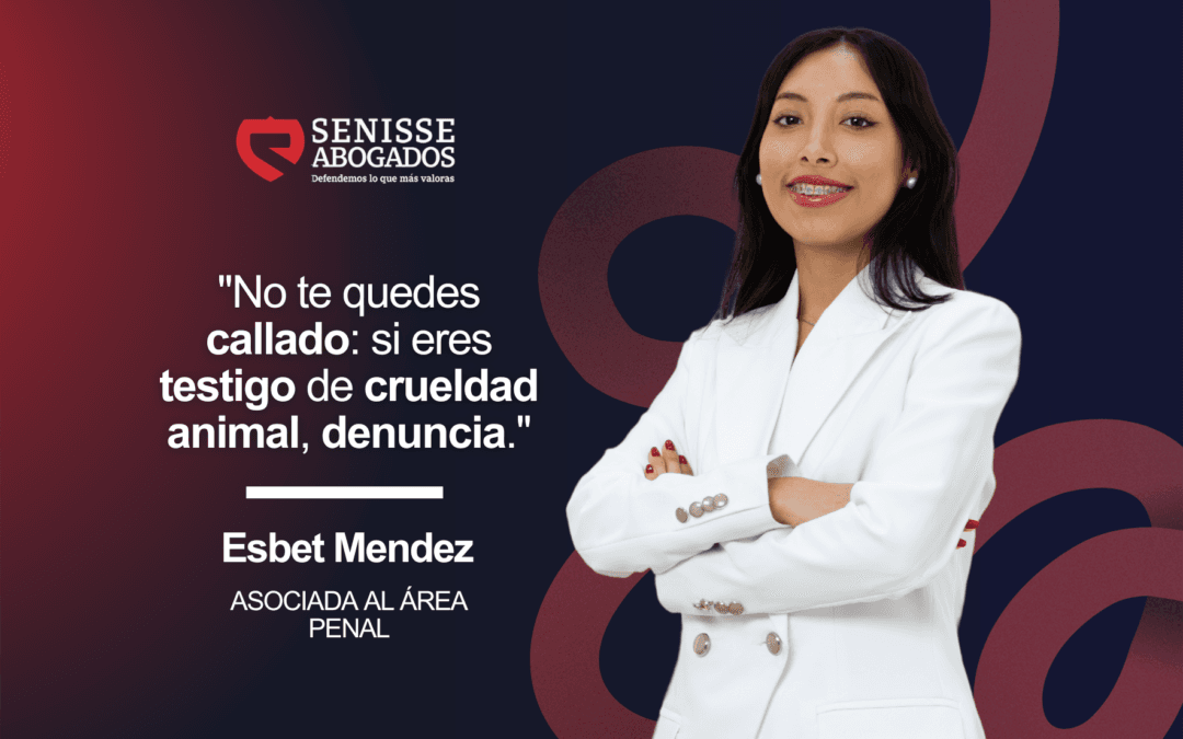 Sigue estas 4 recomendaciones clave para actuar ante el maltrato animal